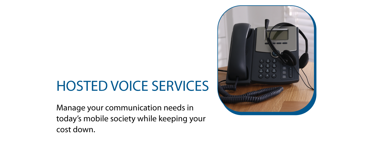 Business hosted voice services